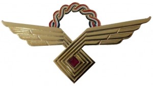 Badge Honoured pilot 