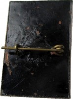 Badge  