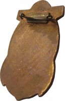 Нагрудный знак 25 лет Дивизиону Тральщиков   Балтийского Флота.  1957-1982 