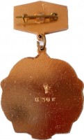 Badge  