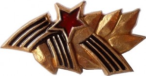 Нагрудный знак Юбилей Победы 