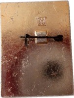 Нагрудный знак Академик С.П. Королев. 1907-1982 