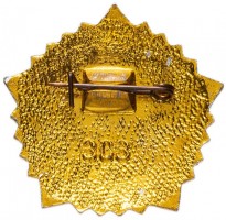 Нагрудный знак Готов к труду и обороне (ГТО), 2 Степени 