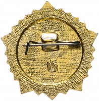 Нагрудный знак Готов к труду и обороне (ГТО), 2 Степени 