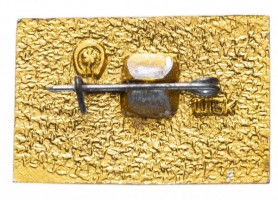 Badge  