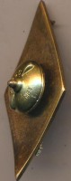 Нагрудный знак RJS 