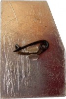 Badge  