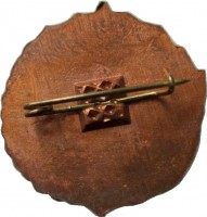 Нагрудный знак Футбольный клуб Динамо Киев 
