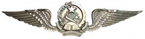 Нагрудный знак Летчик 