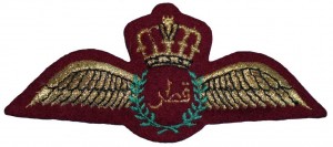 Нагрудный знак Летчик 
