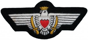 Badge Pilot 