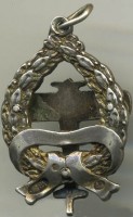 Нагрудный знак Воздушный флот. Сила России 