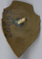 Нагрудный знак Отличный техник 