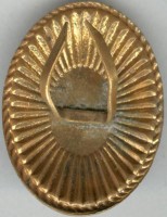 Badge Officer cap badge 