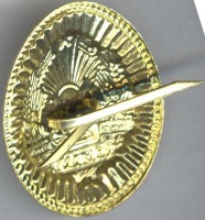 Badge  