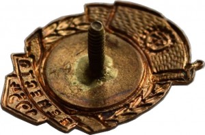 Badge  