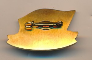 Нагрудный знак ЭМ 