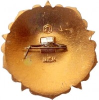 Badge  