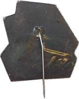 Нагрудный знак Шахта Западно-Донбасская 