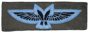 Нагрудный знак Летчик 