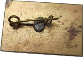 Badge  