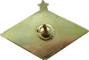 Badge  