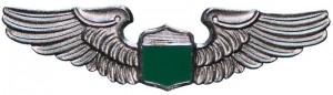 Нагрудный знак Пилот 