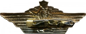 Badge Specialist 2nd class 