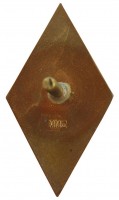Badge Odessa Institute of Marine Fleet Engineers 