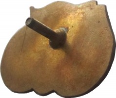 Badge  