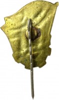 Badge  