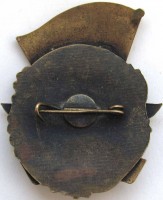 Badge 14th Air army 