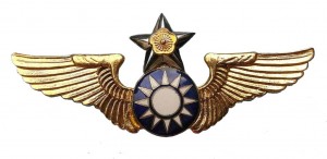 Нагрудный знак Пилот 