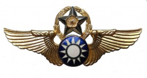 Нагрудный знак Пилот 