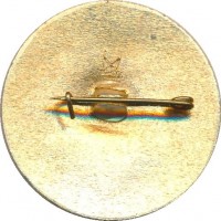 Нагрудный знак 20 лет Шахтспецстрой, Норильск 1962-1982 
