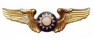 Нагрудный знак Пилот 