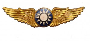 Нагрудный знак Пилот 