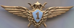 Badge Pilot 1st class 