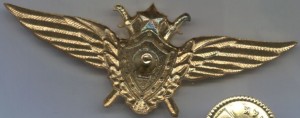 Badge Pilot 1st class 