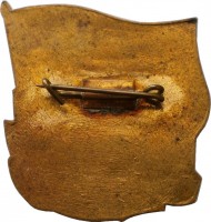 Badge  