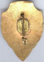 Нагрудный знак Отличный студент 