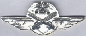 Badge Pilot observer 