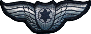 Нагрудный знак Пилот 