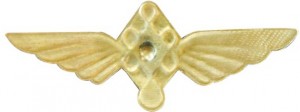 Badge Pilot without class 