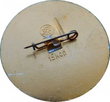 Badge  