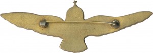 Нагрудный знак Пилот 