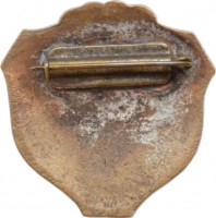 Нагрудный знак Лыжный кросс. 1957 