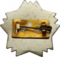Badge  