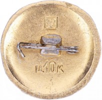 Нагрудный знак Воронеж 