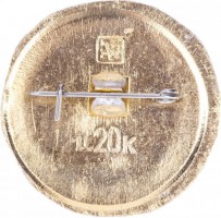 Нагрудный знак Кронштадт 
